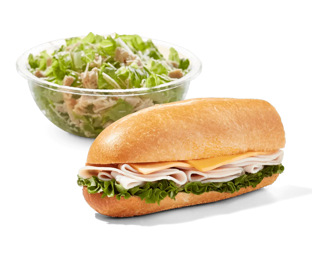 fresh sandwich and salad