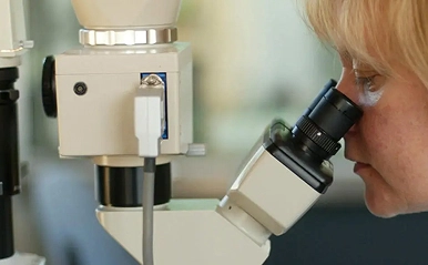 mjf laboratory 